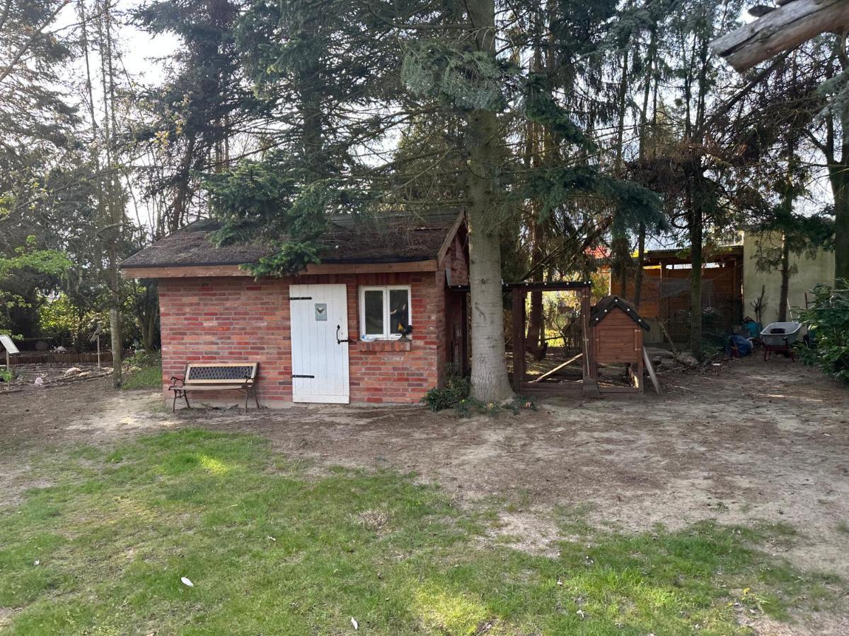 Linas Wohlfuehloase Hameln Διαμέρισμα Hessisch Oldendorf Εξωτερικό φωτογραφία